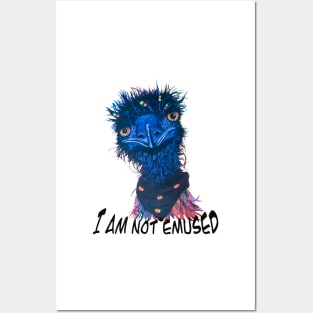 I am not emused hippie funny emu pun Posters and Art